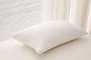 Memory Foam Pillows Canada