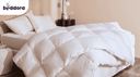 Comforter Covers, Care Hacks & Where to Buy Comforters in Canada