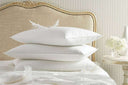 How to Protect Your Pillow: Waterproof, Allergy, and Bed Bug Solutions