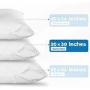 Pillow Protectors