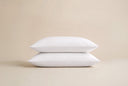 Plush Supportive Pillows